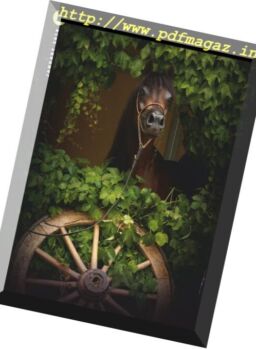 Arabian Horse World – January 2018