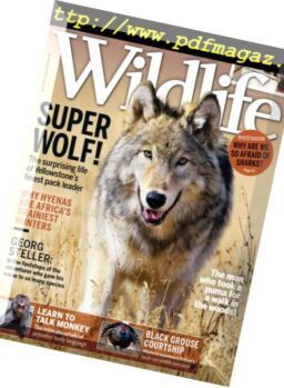 BBC Wildlife – March 2018