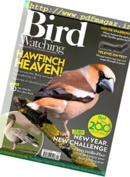 Bird Watching UK – January 2018