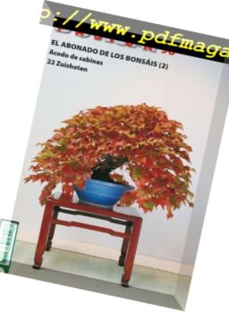 Bonsai Pasion – febrero 2018