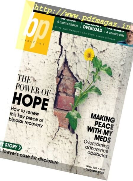bp Magazine for Bipolar – January 2018 Cover