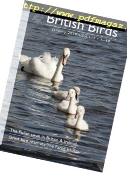 British Birds – January 2018