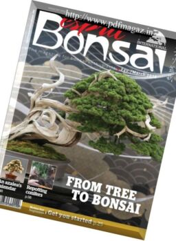Esprit Bonsai International – 23 January 2018