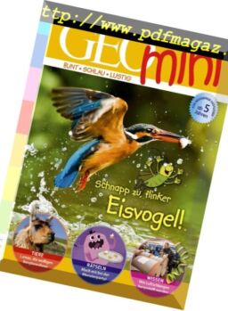 Geomini – Februar 2018