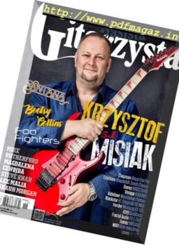 Gitarzysta – Listopad 2017