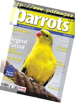 Parrots – March 2018