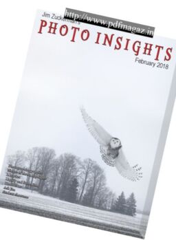 Photo Insights – February 2018