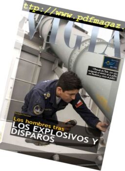 Vigia – Enero 2018