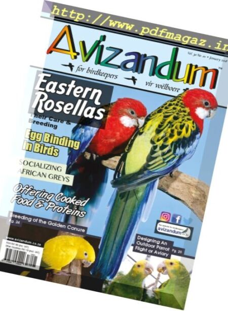 Avizandum – January 2018 Cover