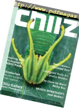 Chiiz – February 2018