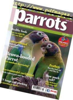 Parrots – April 2018