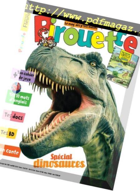 Pirouette – 21 fevrier 2018 Cover