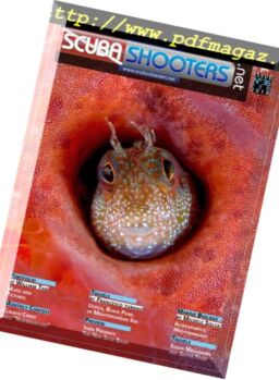 Scubashooters – February 2018