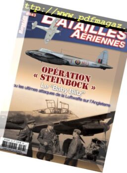 Batailles Aeriennes – janvier 2018