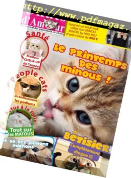 Chats d’Amour – mars 2018