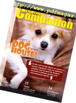 Creature Companions – February 2018