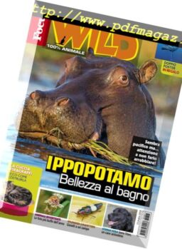 Focus Wild – Aprile 2018