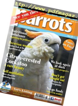 Parrots – May 2018