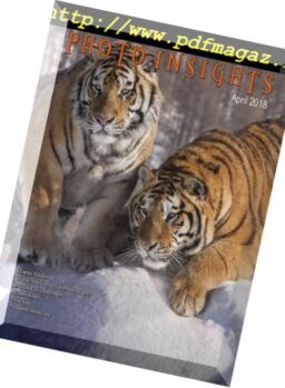 Photo Insights – April 2018