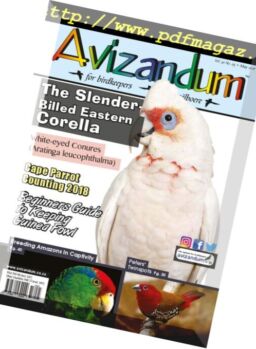 Avizandum – May 2018