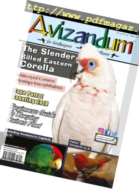 Avizandum – May 2018 Cover