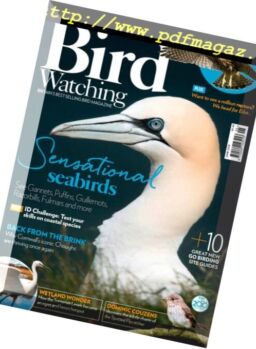 Bird Watching UK – June 2018