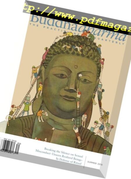 Buddhadharma – June 2018 Cover