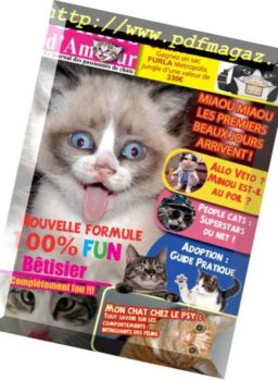 Chats d’Amour – avril 2018