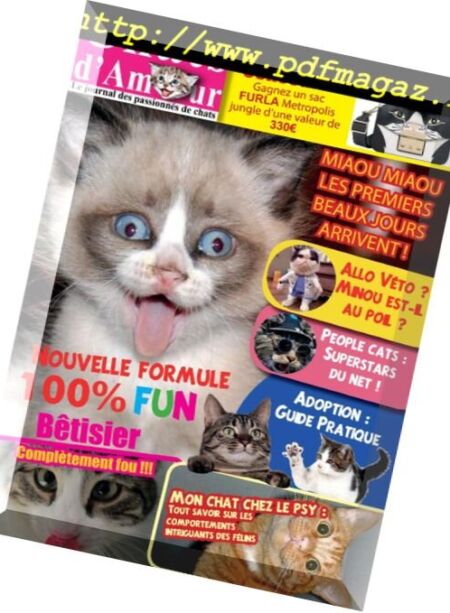 Chats d’Amour – avril 2018 Cover