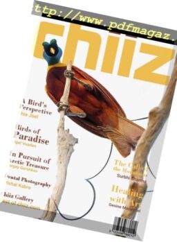 Chiiz – May 2018