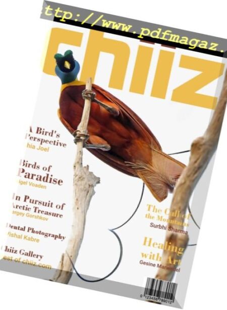 Chiiz – May 2018 Cover
