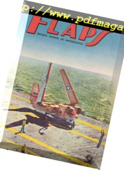 Flaps – N 07