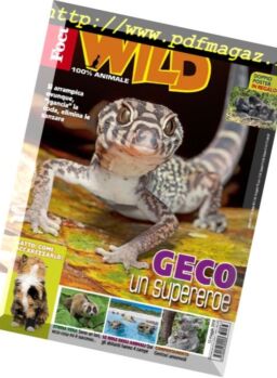 Focus Wild – maggio 2018