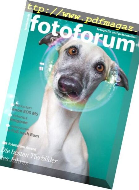 Fotoforum – Marz-April 2017 Cover