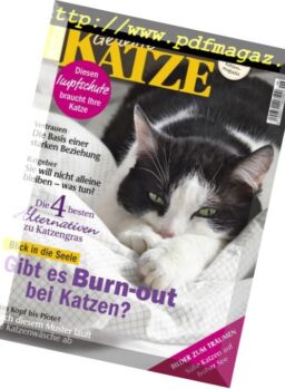 Geliebte Katze – Juni 2018