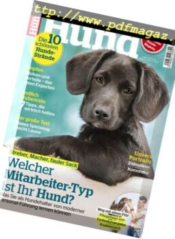 Partner Hund – Mai 2018