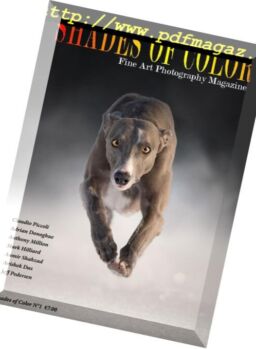 Shades of Color – 28 March 2018