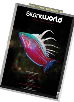 Silent World – N 38, 2016