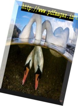 Underwater Photography – March-April 2018
