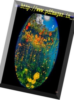 Underwater Photography – May-June 2018