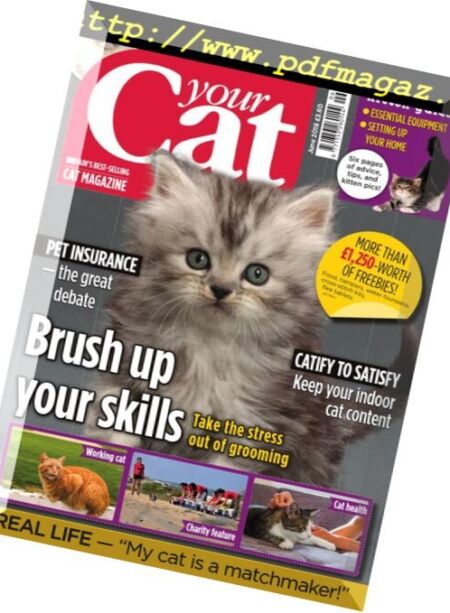 Your Cat – June 2018 Cover
