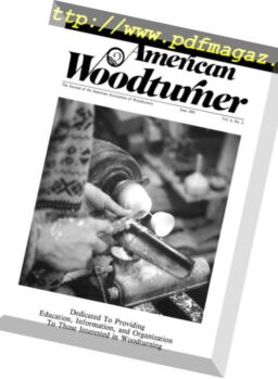 American Woodturner – June 1991