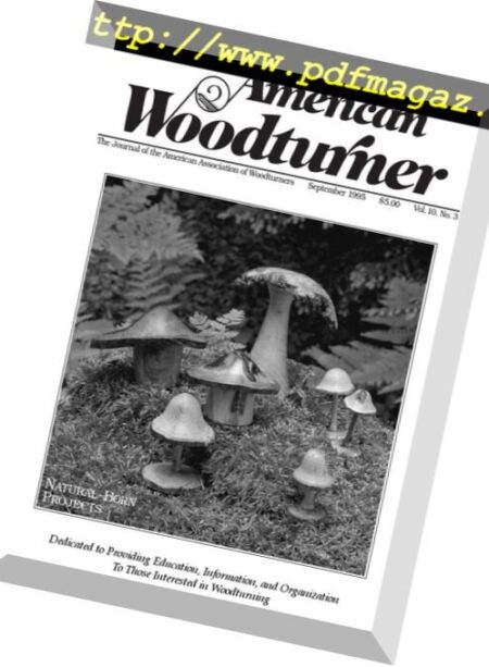 American Woodturner – September 1995 Cover