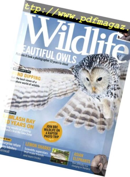 BBC Wildlife – June 2018 Cover
