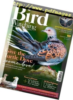 Bird Watching UK – July 2018