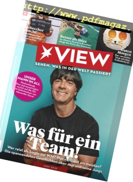 Der Stern View Germany – Juni 2018 Cover