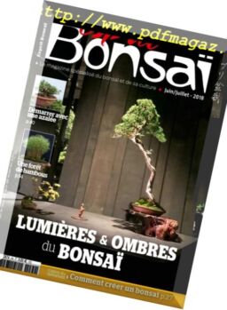 Esprit Bonsai – juin 2018