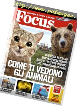 Focus Italia – maggio 2018
