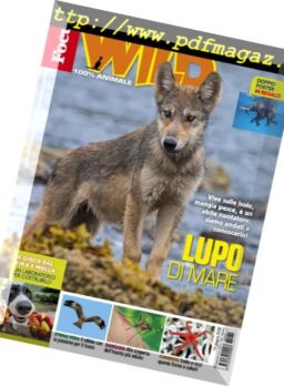 Focus Wild – giugno 2018