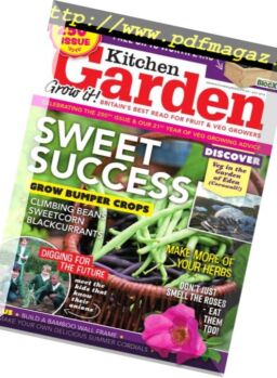 Kitchen Garden – July 2018
